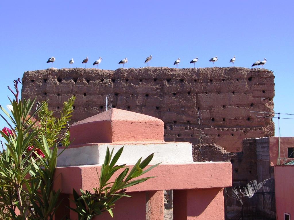 Riad El Farah Kasbah Marraquexe Exterior foto